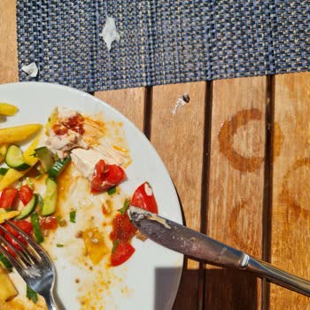 My Ella Bodrum Resort & Spa Gürültü Ve Hijyen Sorunlarıyla Dolu Bir Tatil Deneyimi