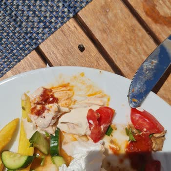 My Ella Bodrum Resort & Spa Gürültü Ve Hijyen Sorunlarıyla Dolu Bir Tatil Deneyimi