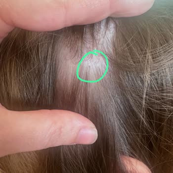 Özel Altunizade Bilge Montessori Anaokulu Veliyi Yoruyor