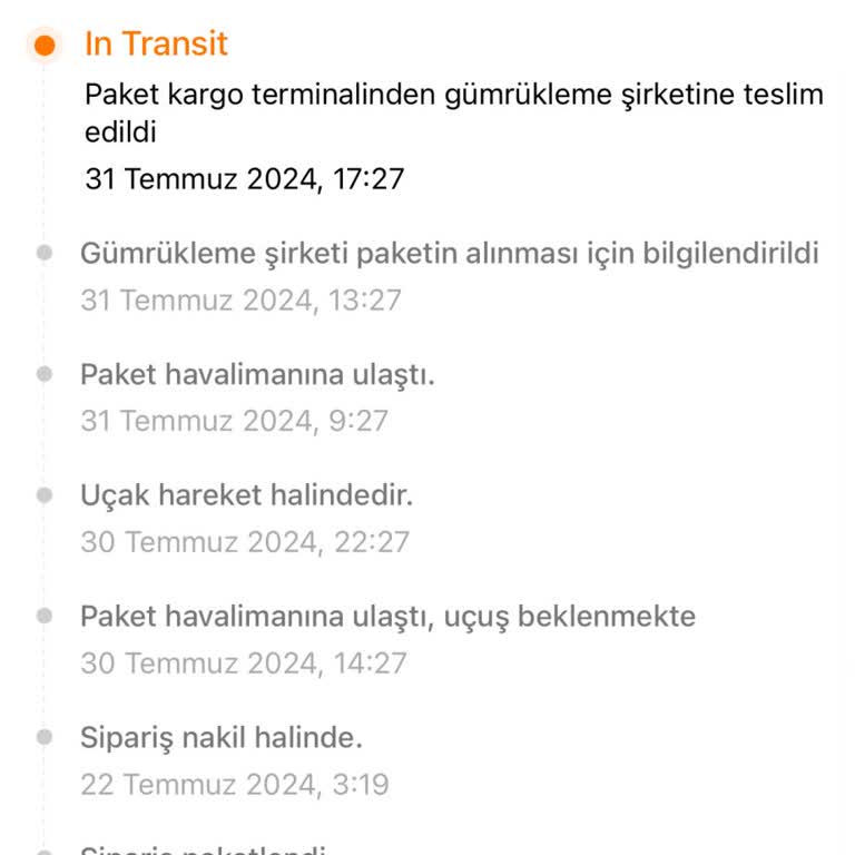Temu-MNG Kargo-Gümrük Çözümlenemeyen Kargo Sorunsalı