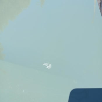 Renault-Dacia Grubunun Boya Kalitesizliği