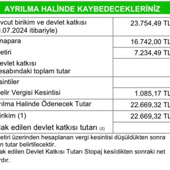 Paranızı Boşuna Türkiye Hayat Emeklilik BES Tutmayın