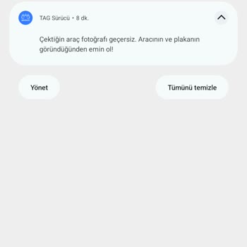 Güveni Boşa Çıkaran Martı Tag