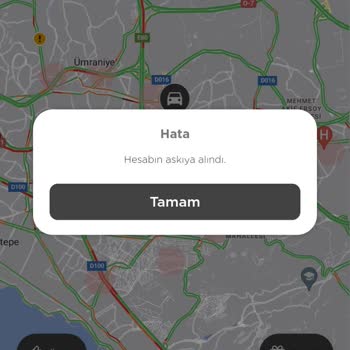 Güveni Boşa Çıkaran Martı Tag
