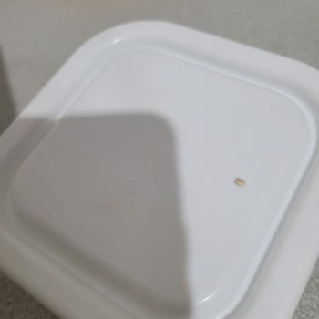 Hipp Mamada Yabancı Madde!