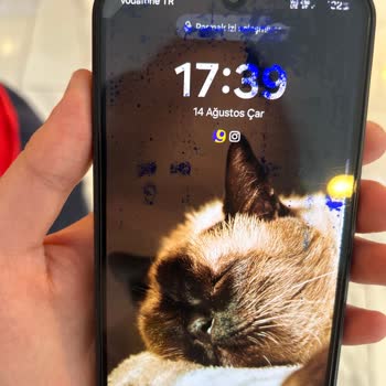Samsung Mavi Leke Oluşumu
