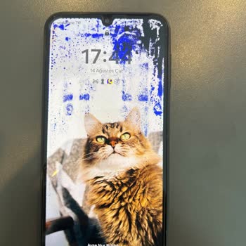 Samsung Mavi Leke Oluşumu