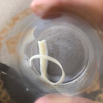 Torku Sütten Parça Çıktı