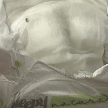 Sleepy Bebek Bezinin İçinde Sert Bir Cisim