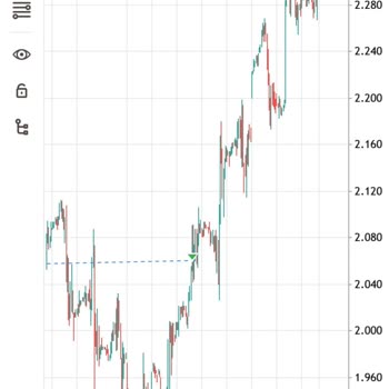 As Menkul Değerler Forex Yatırım Uzmanı