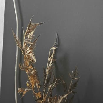 Trendyol'da Satıcıdan Gelen Yanıltıcı Ürün Ve Reddedilen Değişim Talebi