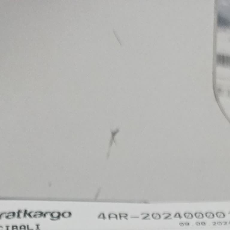 Sürat Kargo Kayıp Kargo Sorunu