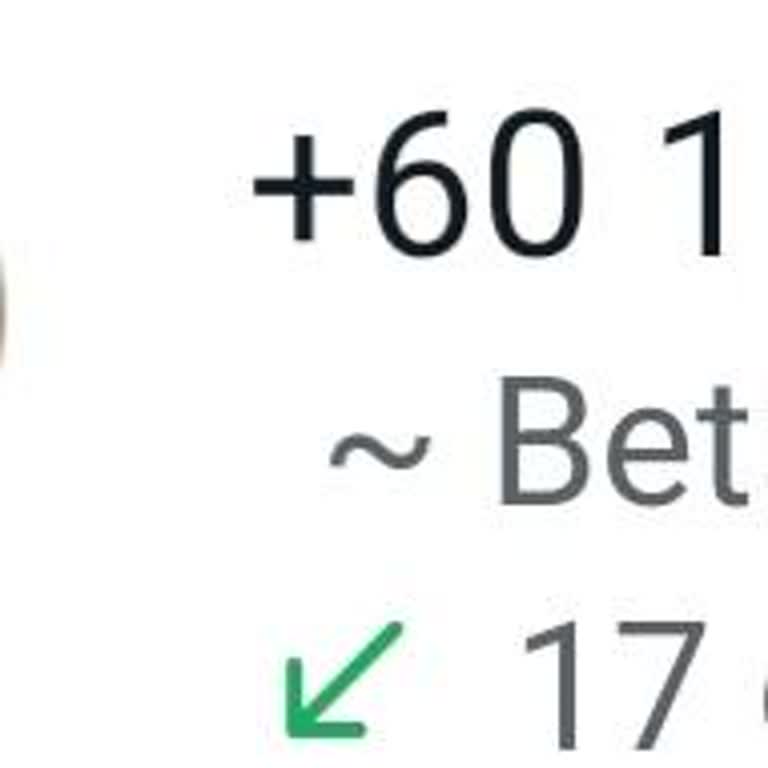 WhatsApp Tan +60 Numaradan Arandım