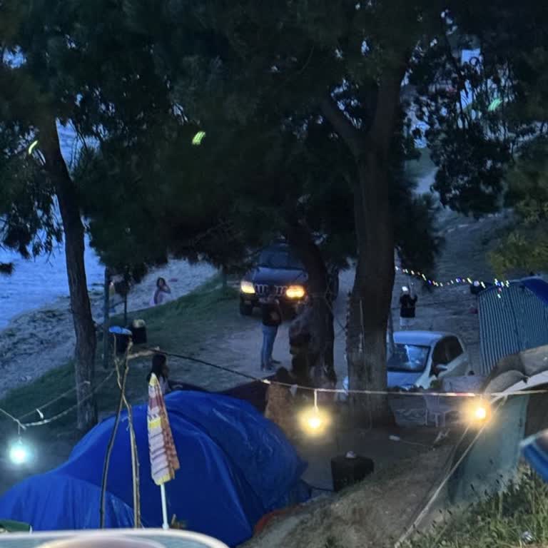 Sinop Orman Kampı Mağduriyeti!