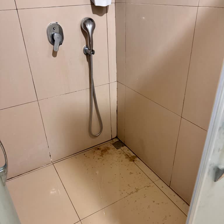 Golden Age Bodrum'da Şok!