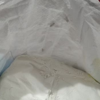 Atm Gross Market Unun İçindeki Kurtlar