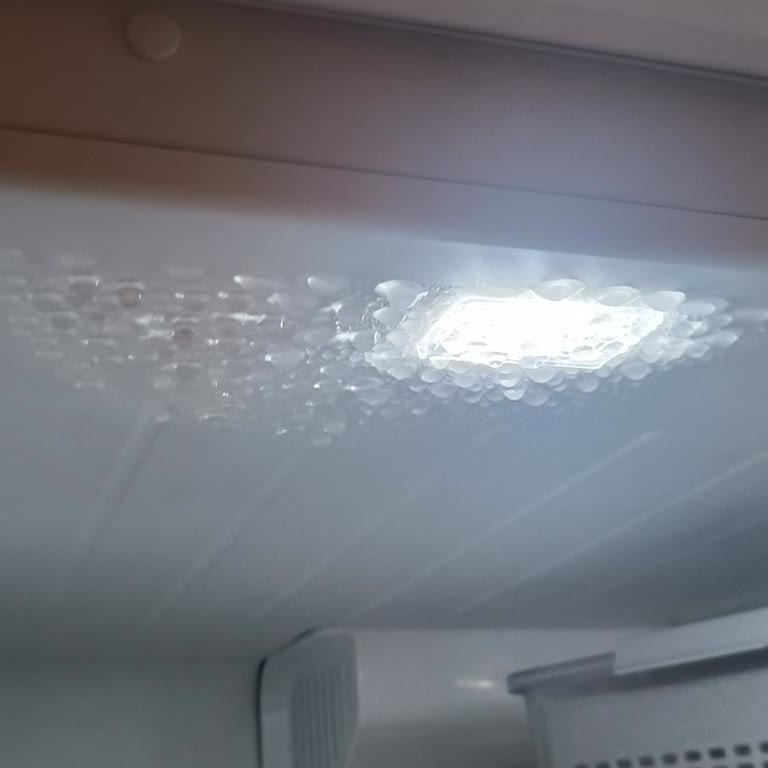 Bosch Buzdolabı Şu Damlacıkları