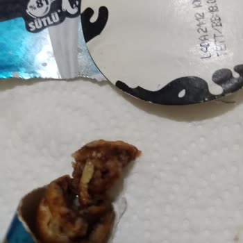 Dondurmamda Çıkan Böcek