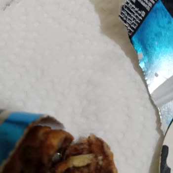 Dondurmamda Çıkan Böcek