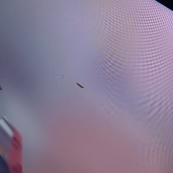 Sunny TV Ekran İç Yüzeyinde Kurt Çıktı