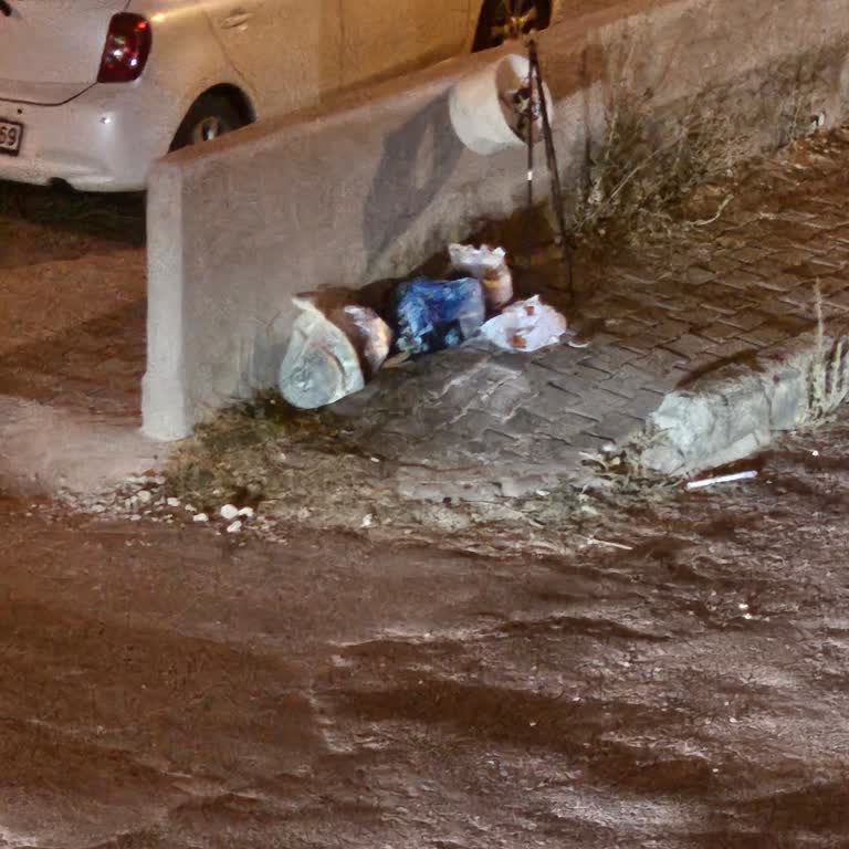 Muğla Büyükşehir Belediyesi Kaldırımlardaki Çöp Sorunu