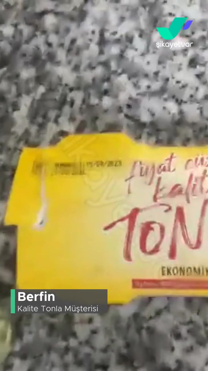 Kalite Tonla Ton Balığının Hali! videonun kapak resmi