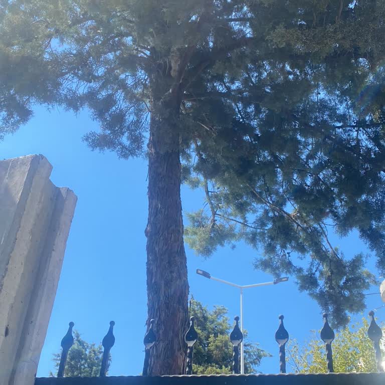 İBB - İstanbul Büyükşehir Belediyesi İstinye İtfaiyesinin Boşvermişliği Ve Beceriksizliği