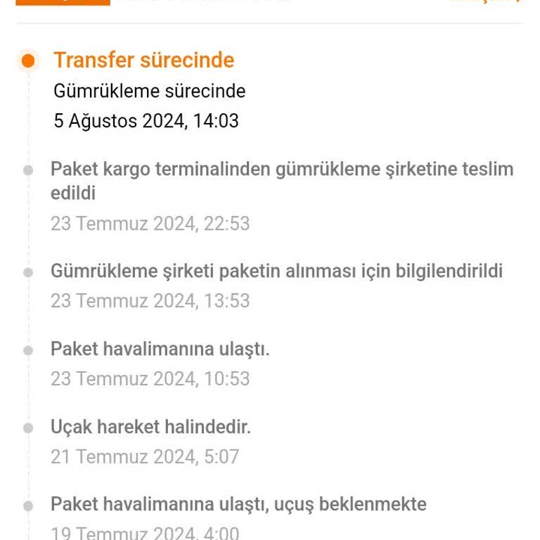 MNG Kargo Temu Gümrük 25 Günde Çıkaramıyor