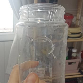 Sinbo Shake Makinesinin Şişesinin Durumu Ve Temin Edilememesi