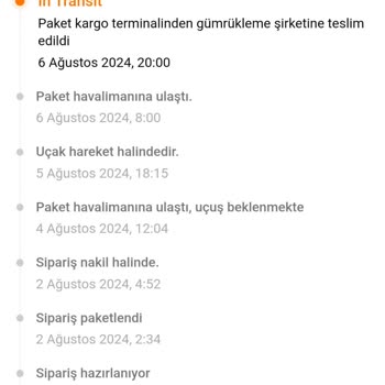 Temu-MNG Kargo Gümrük Sorunu