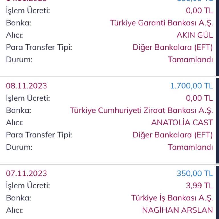 Anatolia Cast Ajansında Yaşanan Sorunlar Ve İlgisizlik