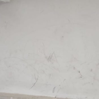 TOKİ Site Yönetimi Çalışma Yapmıyor