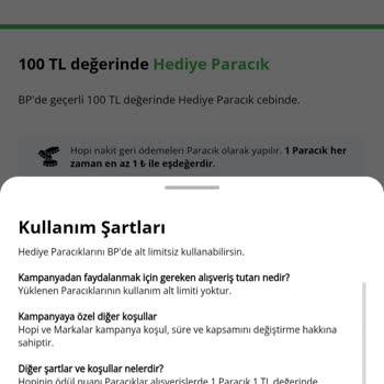 Hopi Ve BP'nin Geçerli Olmayan Geçerli Kampanyası