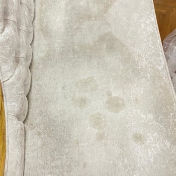 Bihobim Mağdur Ediyor Pişman Oldum