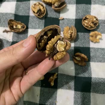 A101 Bütün Cevizler Kurtlu Çıktı