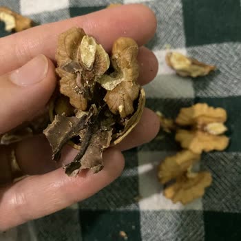 A101 Bütün Cevizler Kurtlu Çıktı