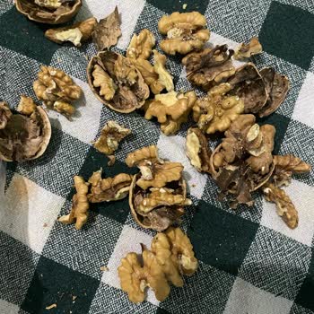 A101 Bütün Cevizler Kurtlu Çıktı