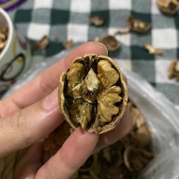 A101 Bütün Cevizler Kurtlu Çıktı