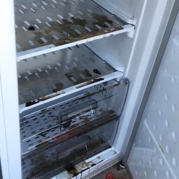 Arçelik Dondurucu Arızası ve Müşteri Hizmetleri Sorunu