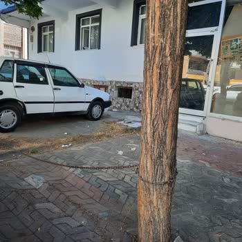 Kırıkkale Belediyesi Uyuyor İşini Yapmıyor