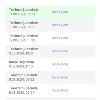 Sürat Kargo Askerlik Yapan Telefon Kılıfı