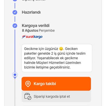 Sürat Kargo Askerlik Yapan Telefon Kılıfı