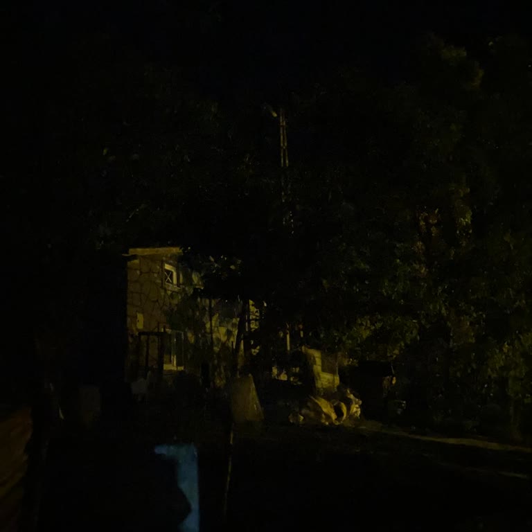 Aras Elektrik Dağıtım Aras Elektrik Sorunu