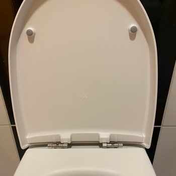 Kale Klozet Oturağı Kırıldı