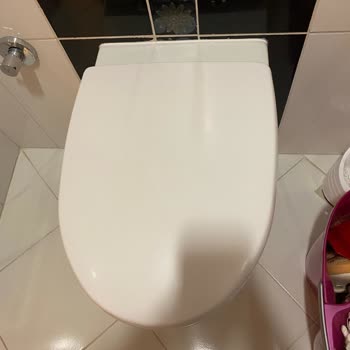 Kale Klozet Oturağı Kırıldı