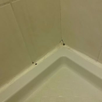 Grand Üçel Hotel Hayal Kırıklığına Uğrattı!