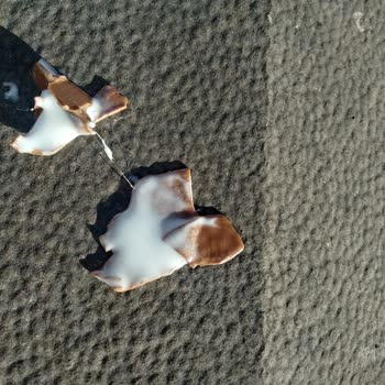 Dondurmacı Amca - Donsa Dondurmada Uzun Bir İp Çıktı Güvenim Sarsıldı