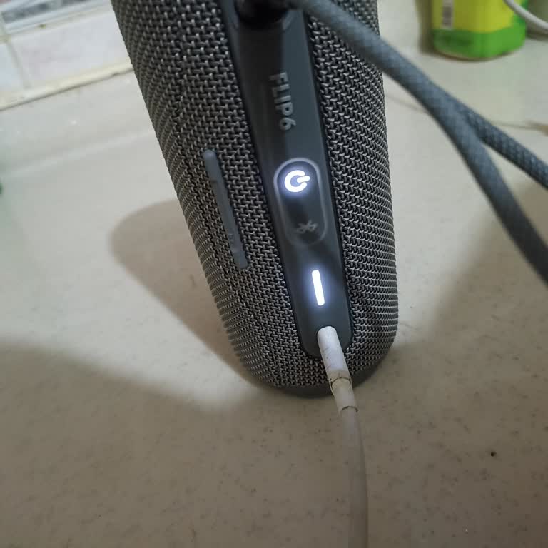 JBL Flip 6 Açılmıyor