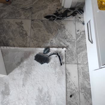 Kumtel Garantisi Olan Ürünle İlgilenmiyorlar.