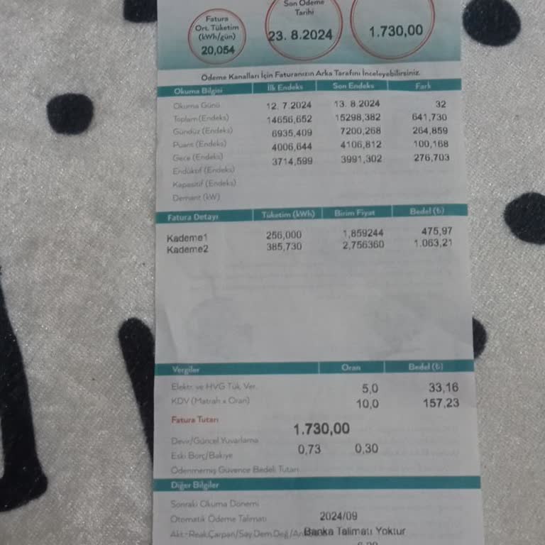 Dicle Elektrik Dağıtım Yüksek Elektrik Faturası